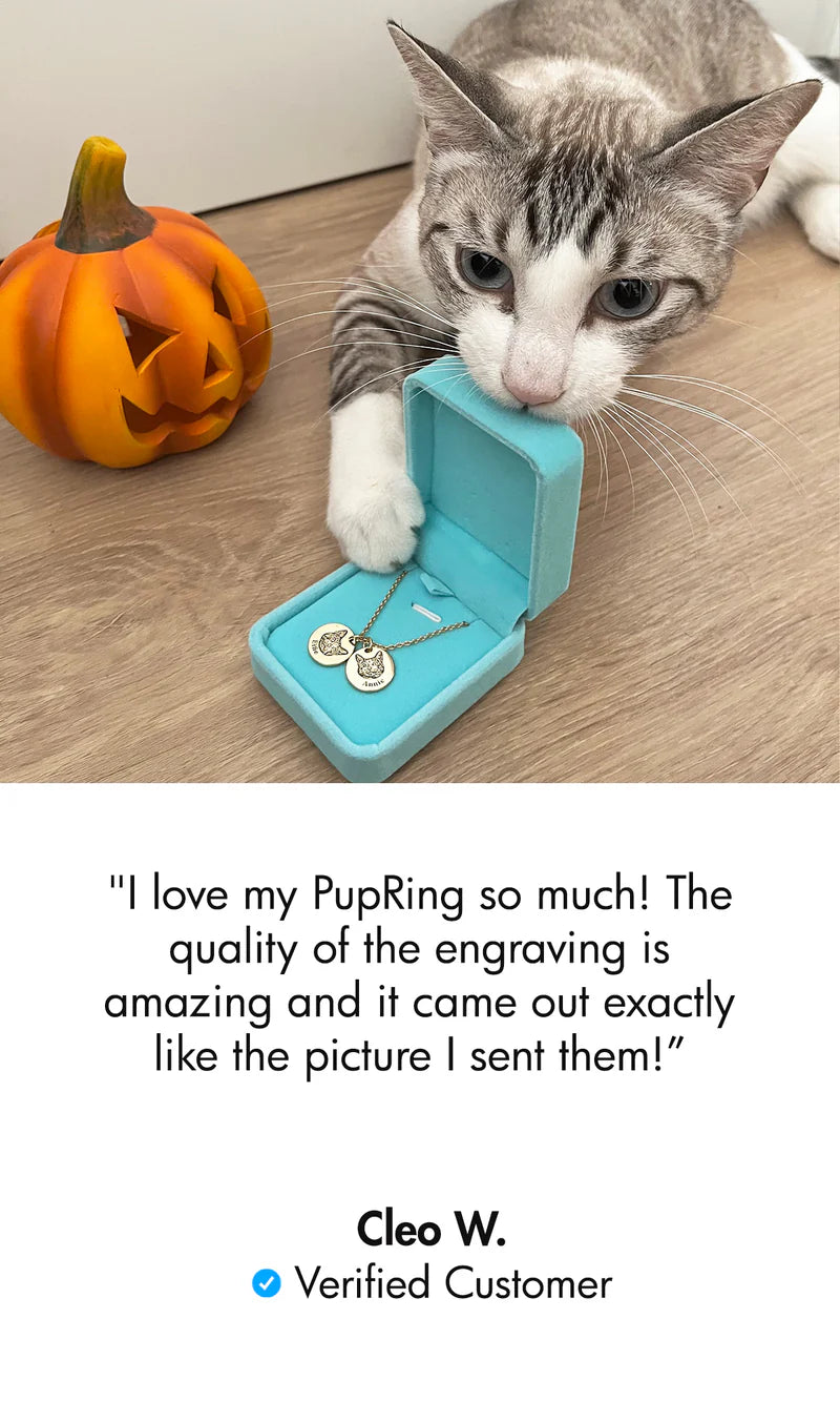 Paw Projection Necklace